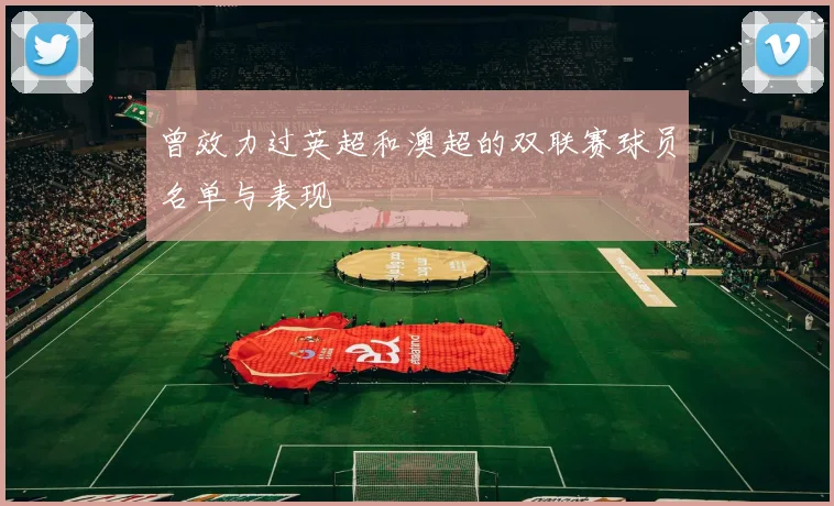 曾效力过英超和澳超的双联赛球员名单与表现
