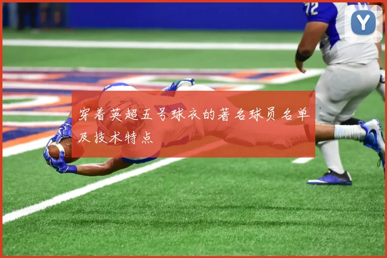 穿着英超五号球衣的著名球员名单及技术特点
