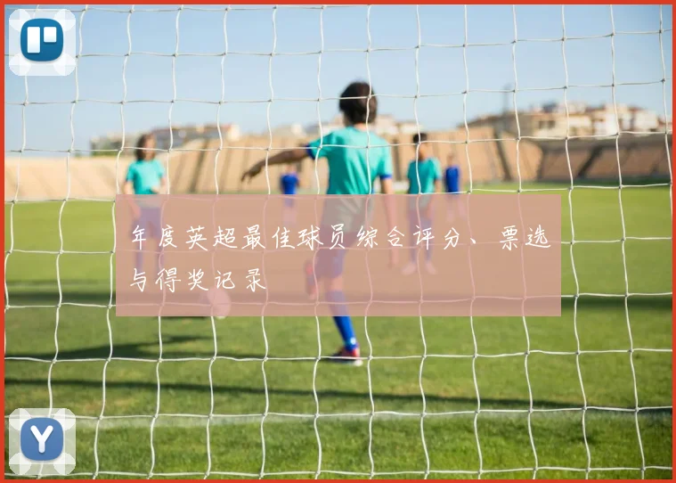 年度英超最佳球员综合评分、票选与得奖记录